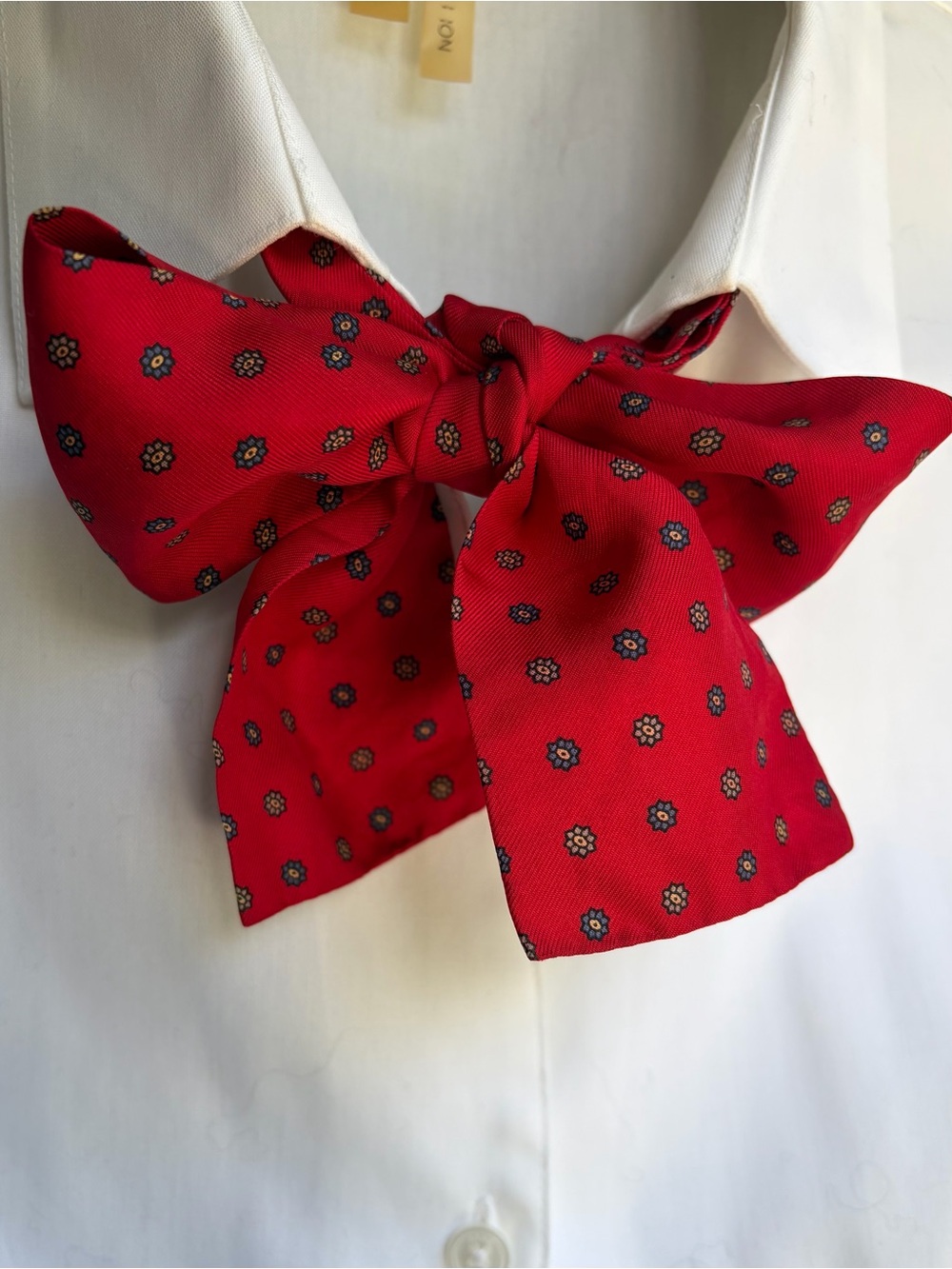 Vintage Silk Self-Tie Bow Tie - Red Silk